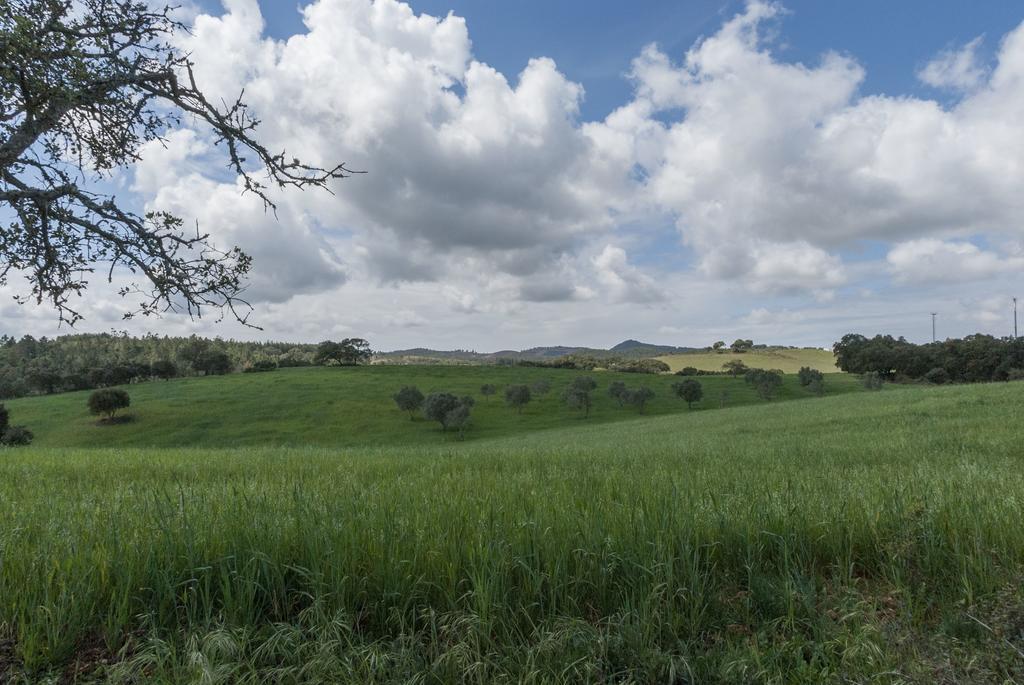 Affittacamere Monte Pedras Negras São Luis Esterno foto